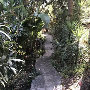 Gasthuis Casa Simba (adults Only), Estepona